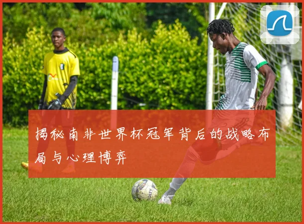 揭秘南非世界杯冠军背后的战略布局与心理博弈