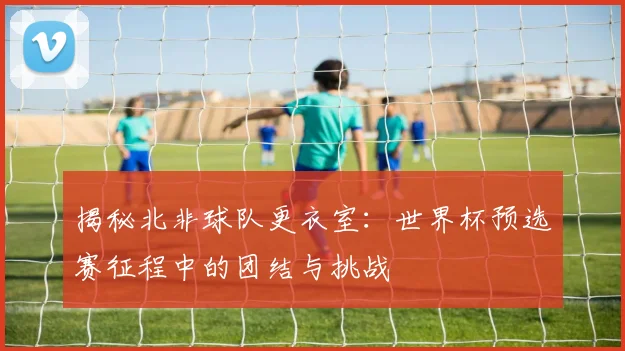 揭秘北非球队更衣室：世界杯预选赛征程中的团结与挑战