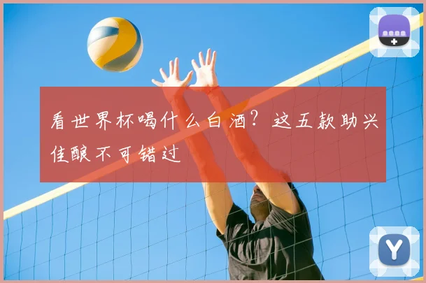 看世界杯喝什么白酒?这五款助兴佳酿不可错过