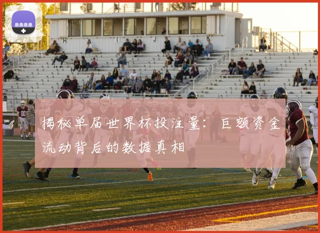 揭秘单届世界杯投注量：巨额资金流动背后的数据真相