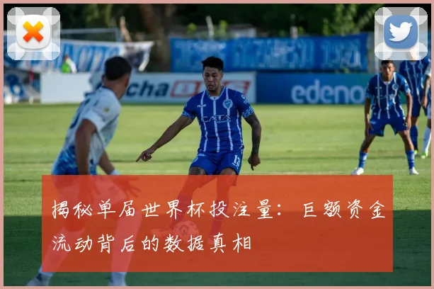 揭秘单届世界杯投注量：巨额资金流动背后的数据真相