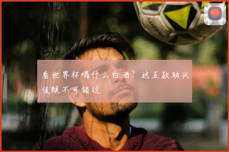 看世界杯喝什么白酒?这五款助兴佳酿不可错过