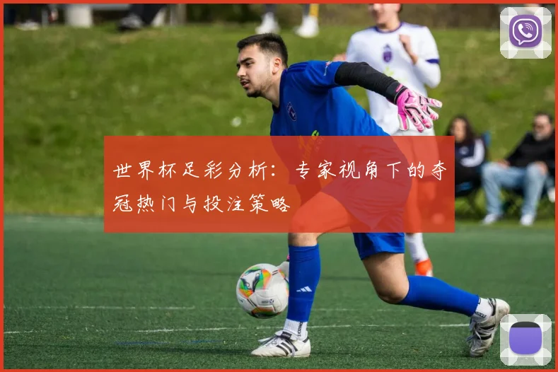 世界杯足彩分析：专家视角下的夺冠热门与投注策略